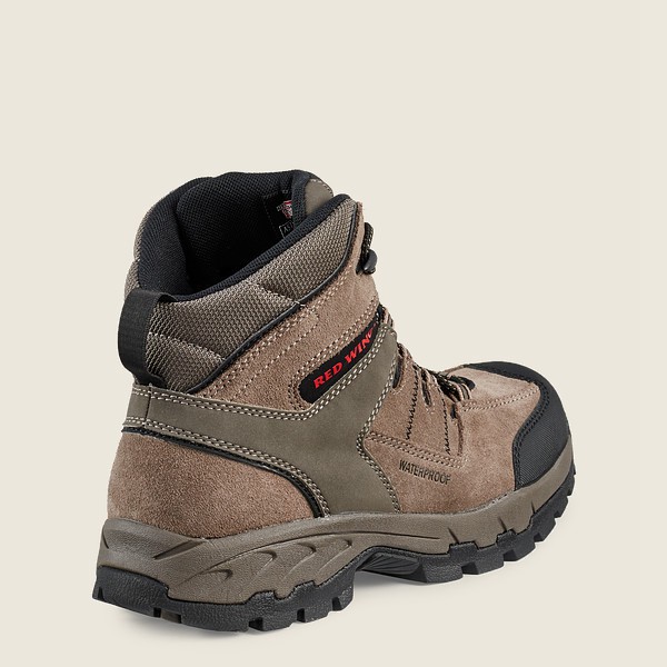 Bottes de Randonnée Red Wing - Truhiker - 6-Inch Waterproof Safety Toe - Grise Marron - Homme 320WKR